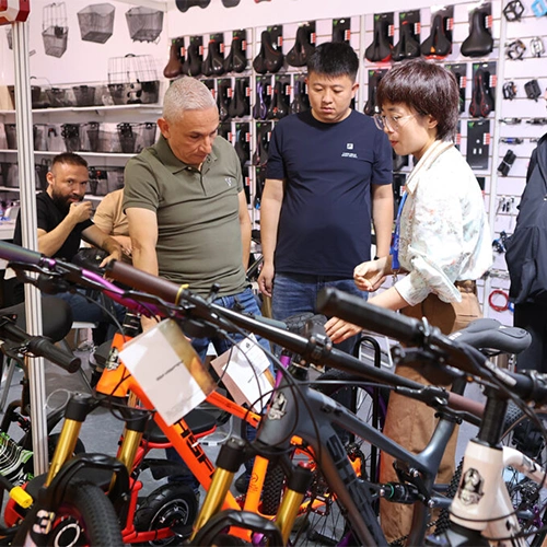 China Cycle